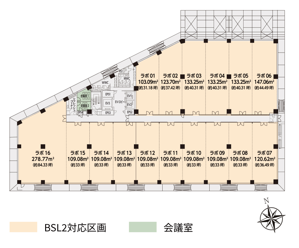 基準階平面図 （2階：一部天井スケルトン　5階：天井スケルトン）